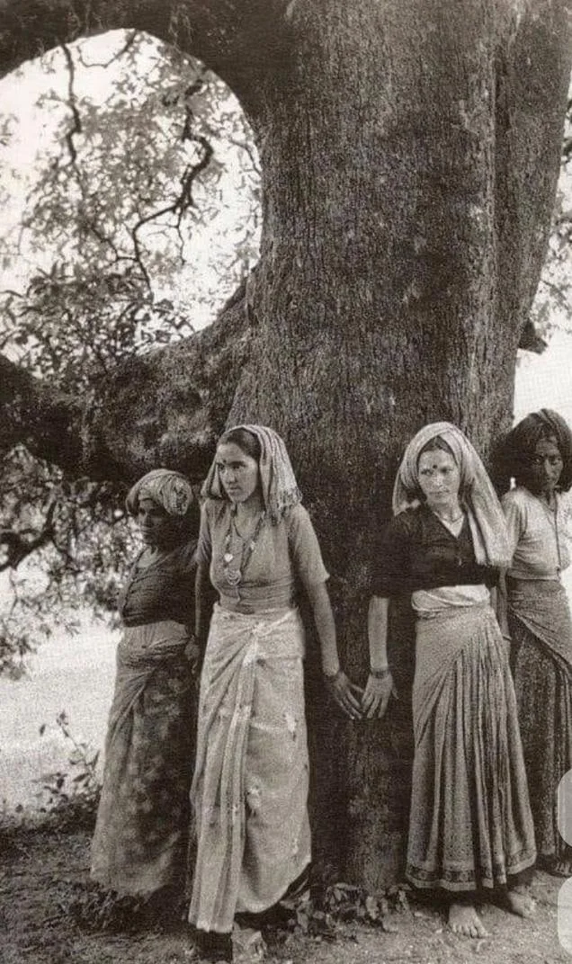 Four women standing with their backs pressed against the trunk of a large tree, one with her hands clasped behind her around it.