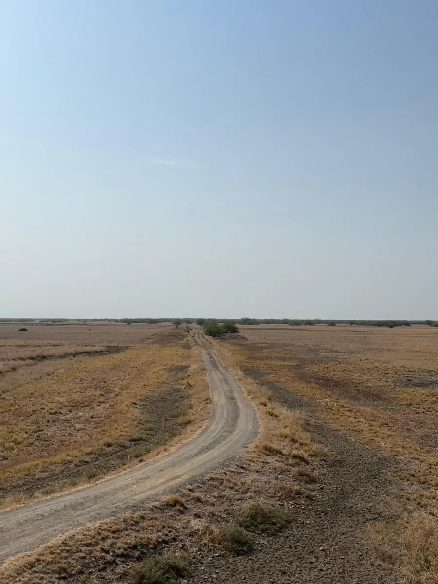 A dirt track curving away across a dry plain under a wide pale sky, bleached grass and bare ground on both sides and a low line of scrub along the far horizon.