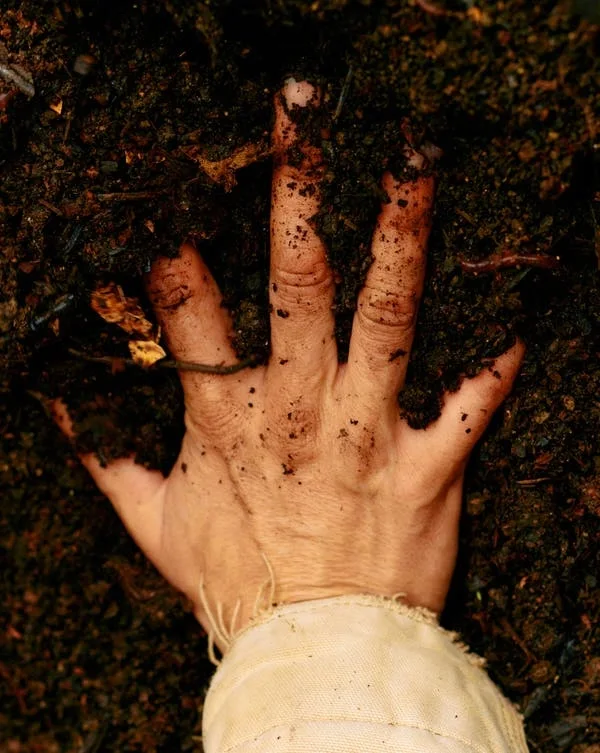 A bare hand pressed open into dark crumbling soil, earth under the nails and caught in the creases, a frayed cuff at the wrist.